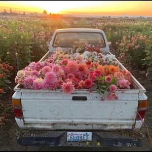 Meet your Posher, Dayelis